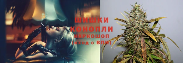 дмт Алзамай