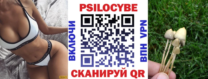 Псилоцибиновые грибы Magic Shrooms  как найти закладки  мега tor  Задонск 